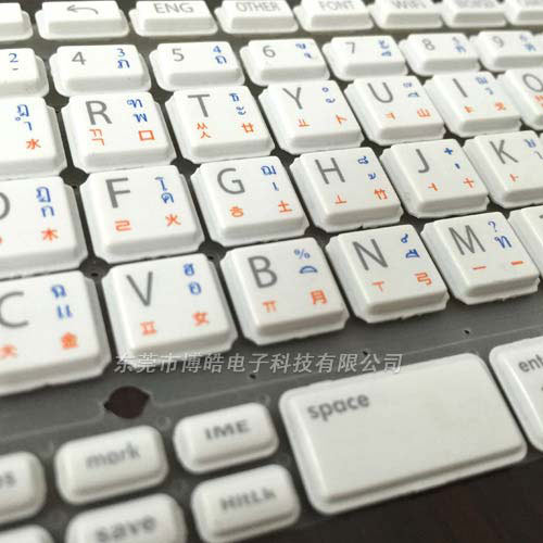 學習機P+R按鍵細節(jié)圖